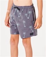 Rip Curl Boy's Clothing Volleys Elastic Waist