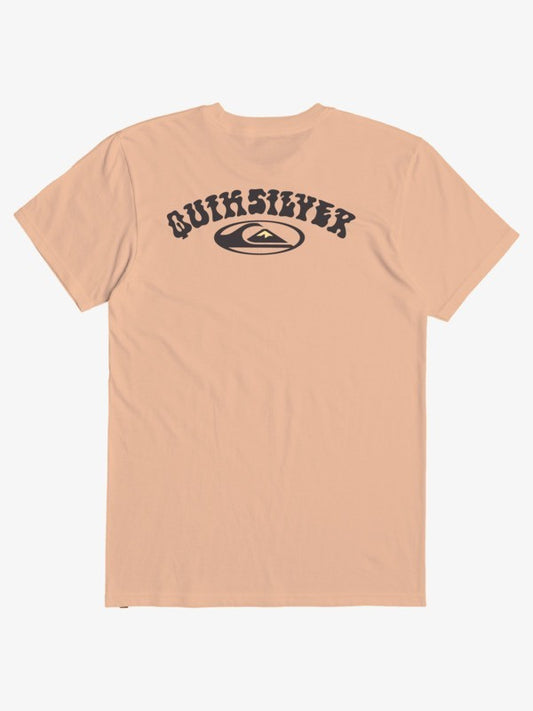 Quiksilver Men's T-Shirts Short Sleeve