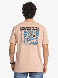 Quiksilver Men's T-Shirts Short Sleeve