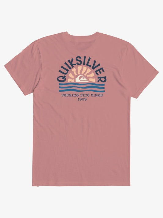 Quiksilver Men's T-Shirts Short Sleeve