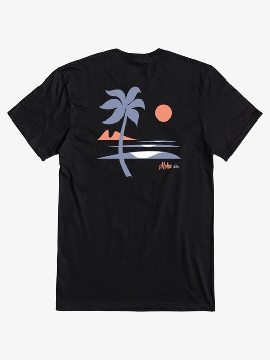 Quiksilver Men's T-Shirts Short Sleeve