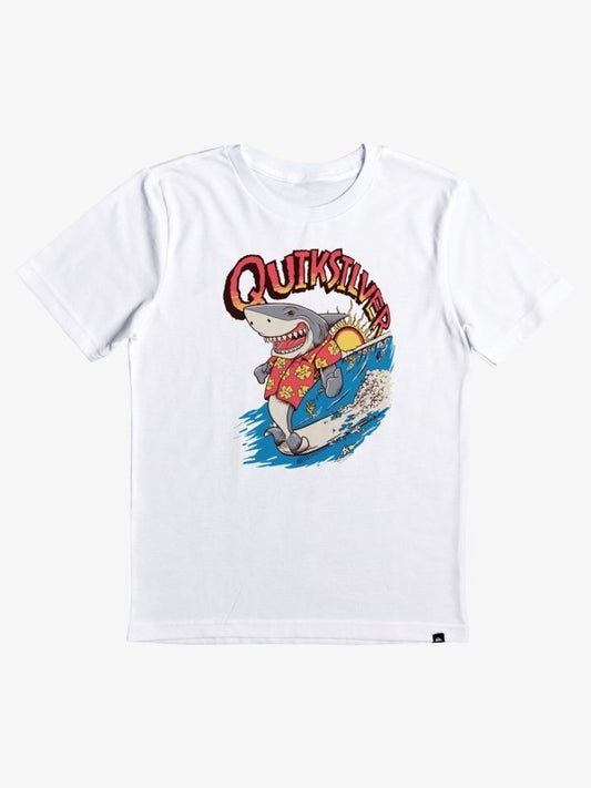 Quiksilver Little Kids Clothin T-Shirts