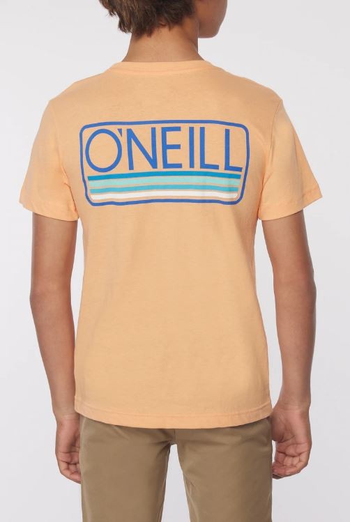 O'neill Boy's Clothing T-Shirts